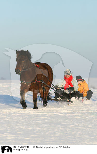 Schlittenfahren / tobogganing / PM-03740