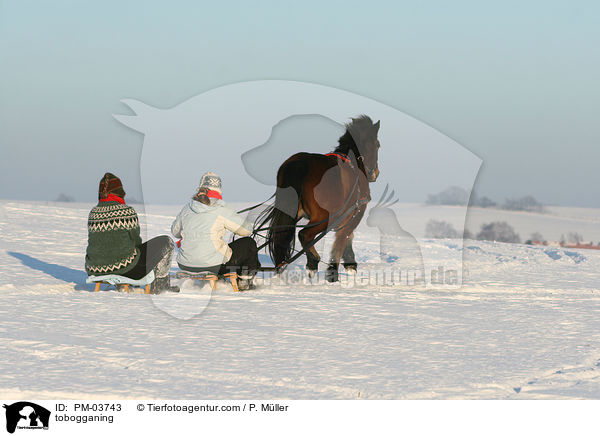 Schlittenfahren / tobogganing / PM-03743