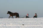 tobogganing