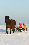 tobogganing