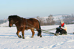 tobogganing