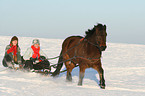 tobogganing