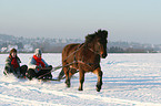 tobogganing