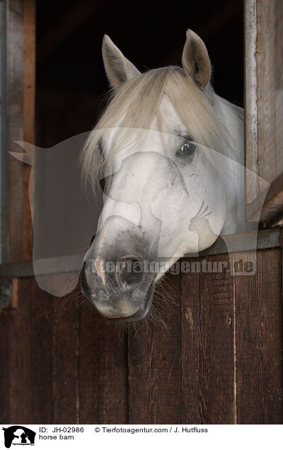 Pferdestall / horse barn / JH-02986