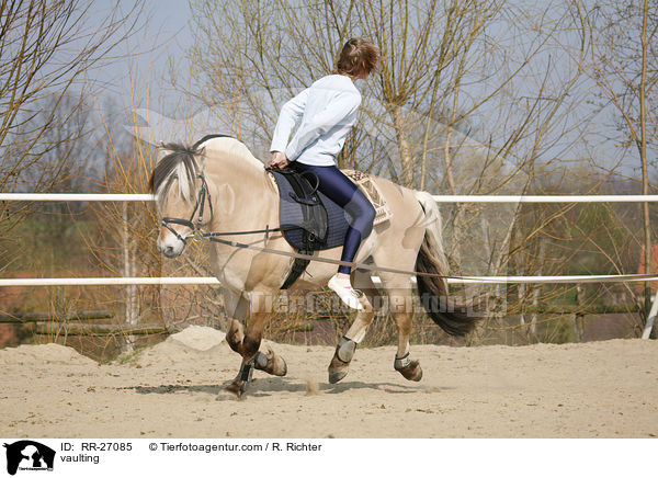 Voltigieren auf Fjordpferd / vaulting / RR-27085