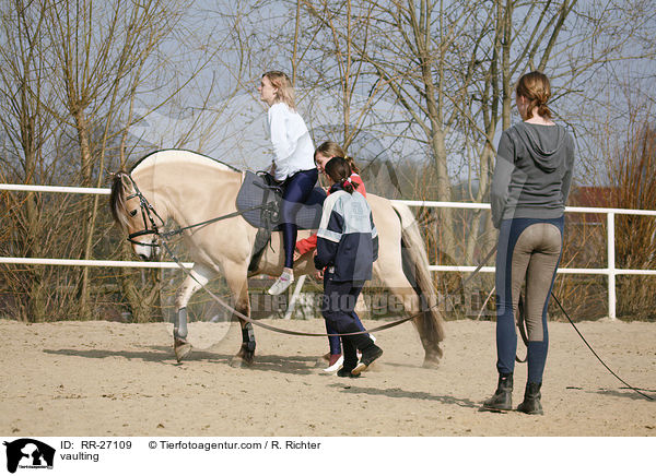 Voltigieren auf Fjordpferd / vaulting / RR-27109