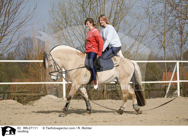 Voltigieren auf Fjordpferd / vaulting / RR-27111