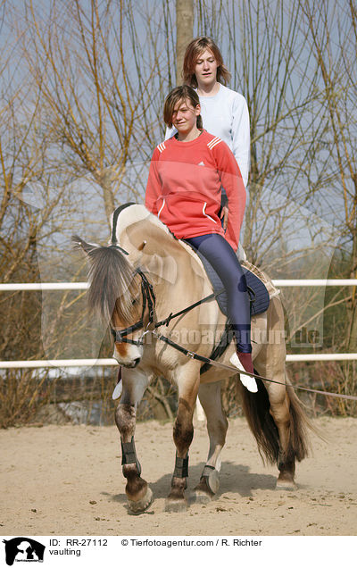 Voltigieren auf Fjordpferd / vaulting / RR-27112