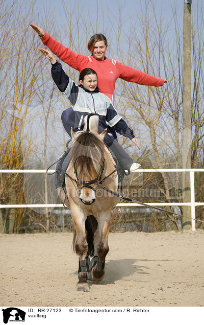Voltigieren auf Fjordpferd / vaulting / RR-27123