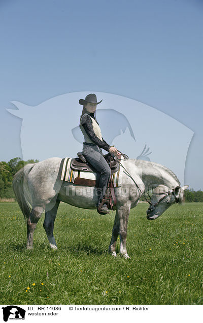 western rider / RR-14086