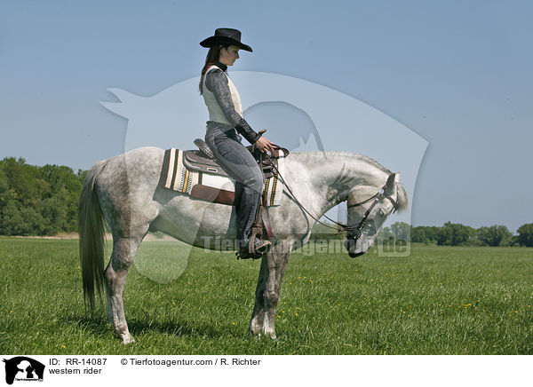 Westernreiter / western rider / RR-14087
