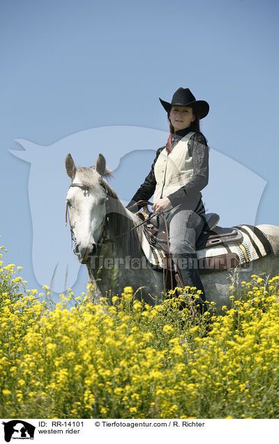 Westernreiter / western rider / RR-14101