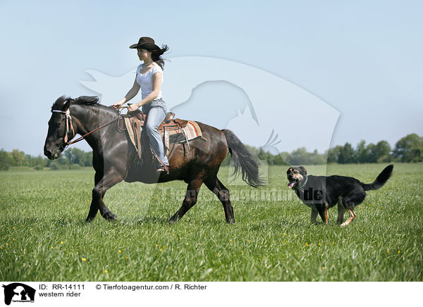 Westernreiter / western rider / RR-14111