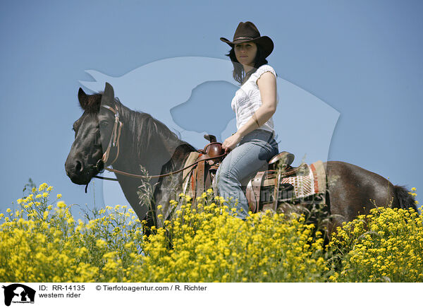Westernreiter / western rider / RR-14135
