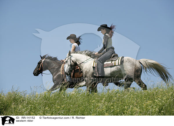 western rider / RR-14152