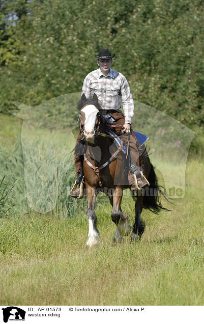 western riding / AP-01573