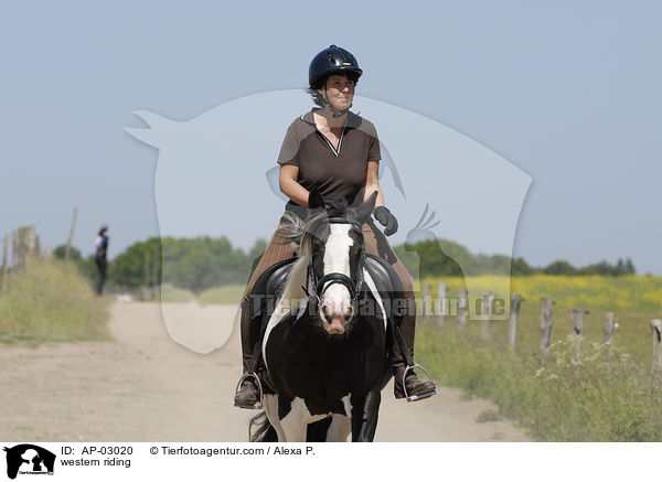 Westernreiten / western riding / AP-03020
