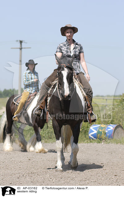 Westernreiten / western riding / AP-03162