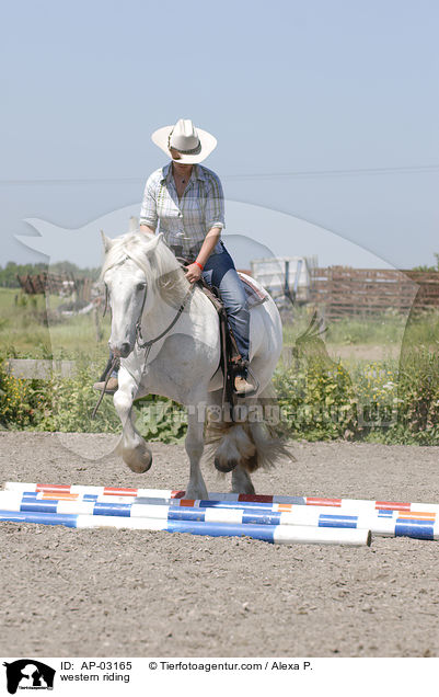 Westernreiten / western riding / AP-03165