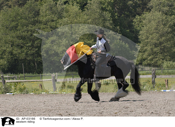 western riding / AP-03166