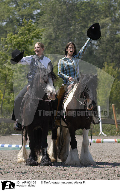 Westernreiten / western riding / AP-03169