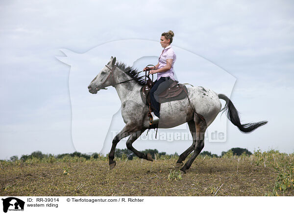Westernreiten / western riding / RR-39014