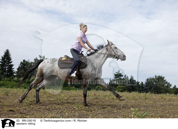 Westernreiten / western riding / RR-39016