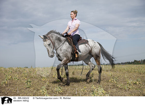 Westernreiten / western riding / RR-39022