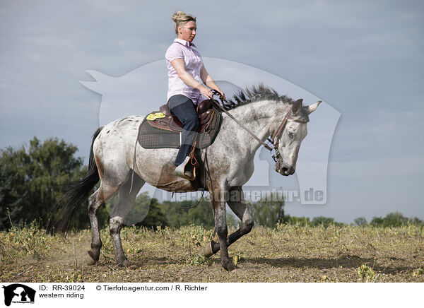 Westernreiten / western riding / RR-39024