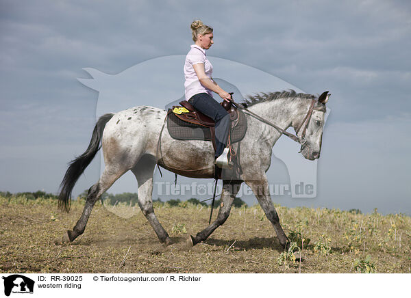 Westernreiten / western riding / RR-39025