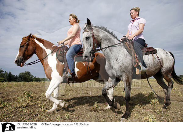 Westernreiten / western riding / RR-39028