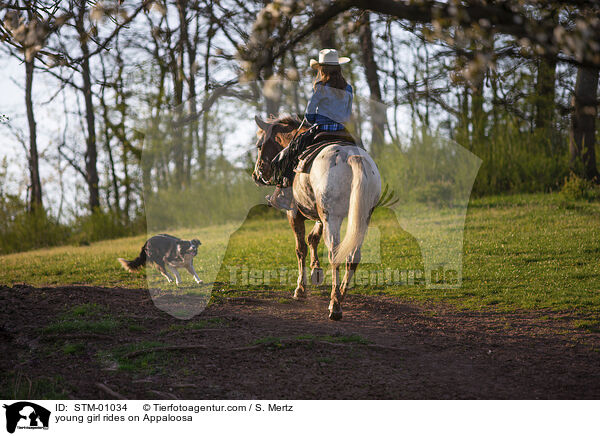 junges Mdchen reitet auf Appaloosa / young girl rides on Appaloosa / STM-01034