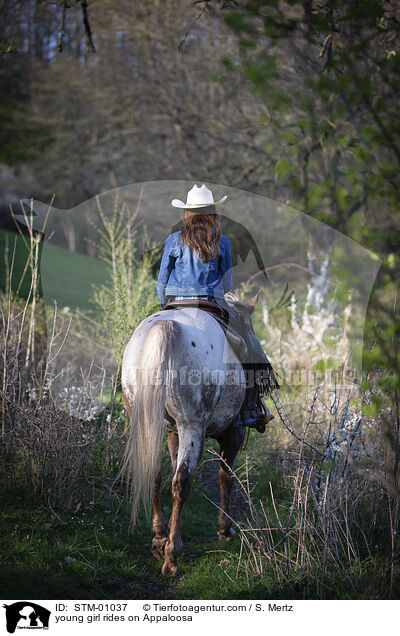 junges Mdchen reitet auf Appaloosa / young girl rides on Appaloosa / STM-01037