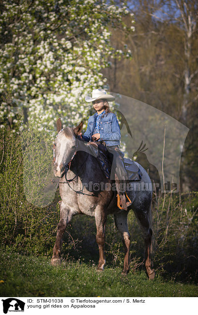 junges Mdchen reitet auf Appaloosa / young girl rides on Appaloosa / STM-01038