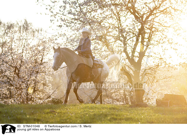 young girl rides on Appaloosa / STM-01048