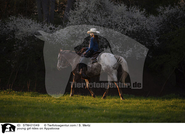 junges Mdchen reitet auf Appaloosa / young girl rides on Appaloosa / STM-01049