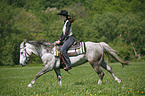 western rider