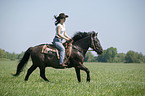 western rider