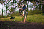 young girl rides on Appaloosa