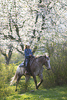 young girl rides on Appaloosa