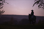 young girl rides on Appaloosa