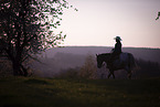 young girl rides on Appaloosa