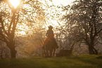 young girl rides on Appaloosa