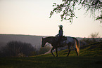 young girl rides on Appaloosa