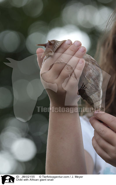 Child with African giant snail / JM-02155