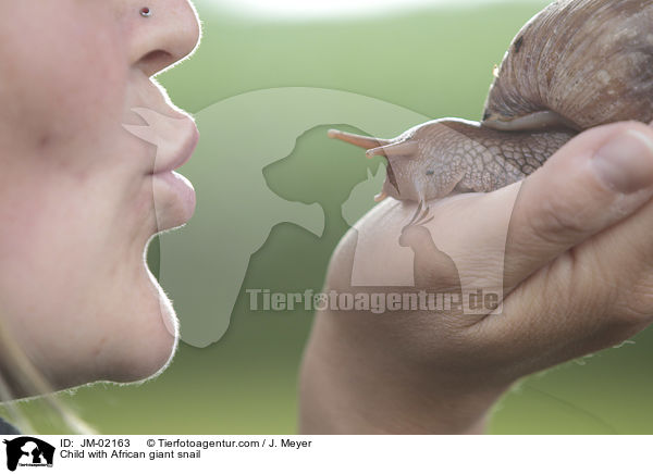 Kind mit Afrikanische Riesenschnecke / Child with African giant snail / JM-02163