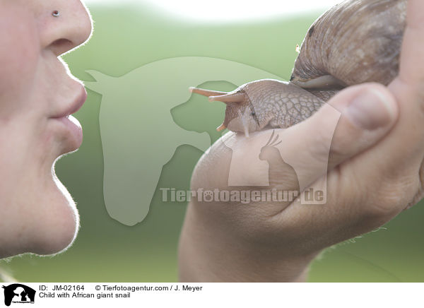 Child with African giant snail / JM-02164