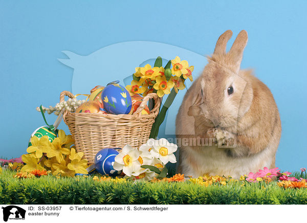 easter bunny / SS-03957