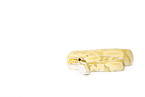 ball python banana pastel