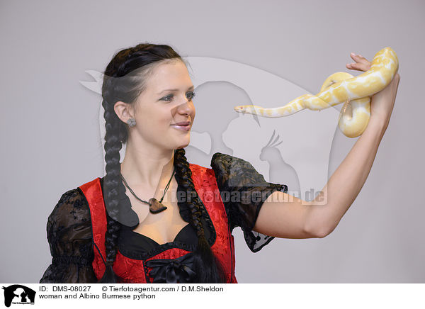 Frau und Albino Dunkler Tigerpython / woman and Albino Burmese python / DMS-08027